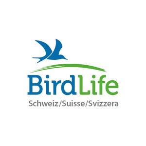 BirdLife